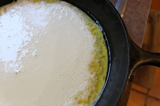 tf dutch babies 7