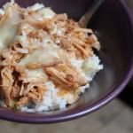 Crock Pot Salsa Pork