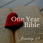 A velvety red heart sitting on the middlle of an open Bible