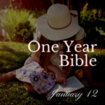 Woman in straw hat sitting on the grass reading a Bible