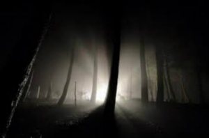 light