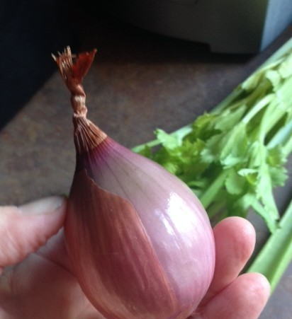 A perfectly purple shallot