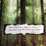 Art Journal