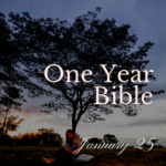 Woman reading her Bible under a tree