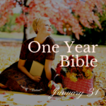 Woman sitting on blanket in park with a Bible in hand, smiling up at the sky