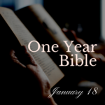 Older hands holding an open Bible