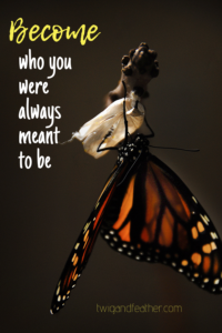 Butterfly emerging from cocoon with caption, “Become who you were always meant to be.”