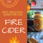 Graphic showing jalapeƱos, a jar of Fire Cider, and dripping honey