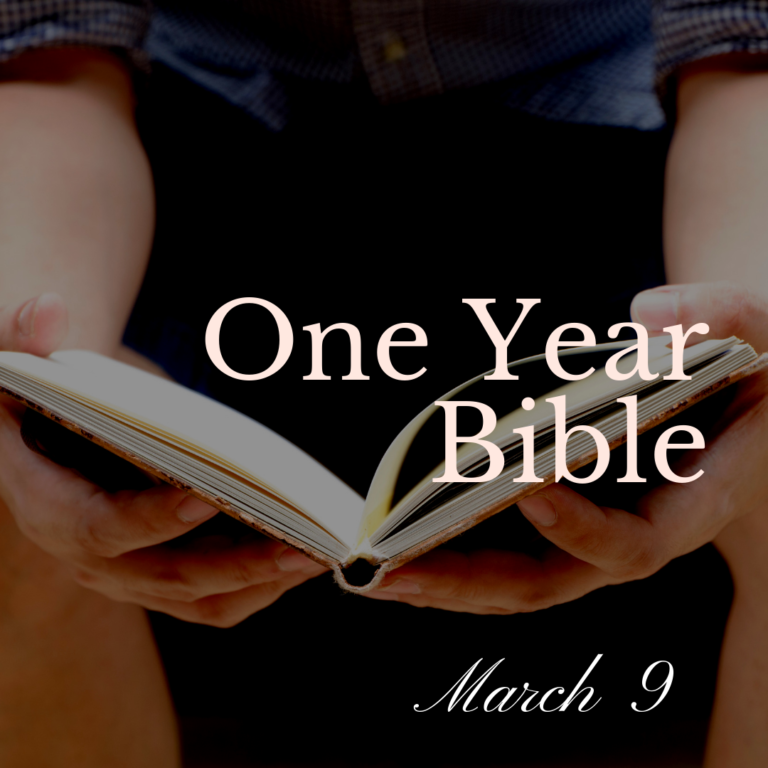 Red hearts scattered on an oven Bible