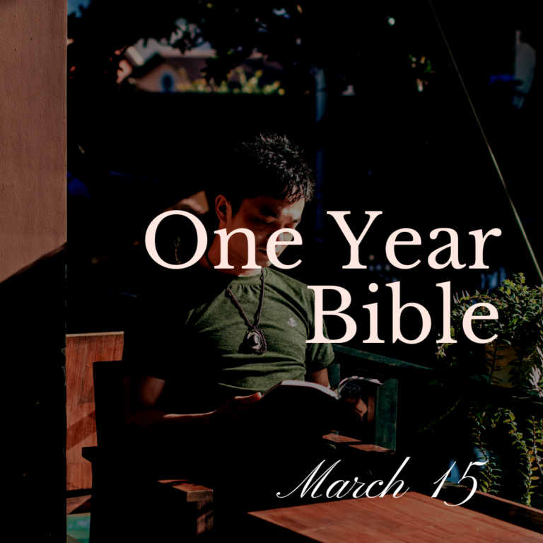 Man sitting on a bench in the sunlight, reading a Bible