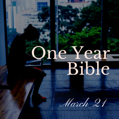 Woman sitting in front of a large window reading a Bible