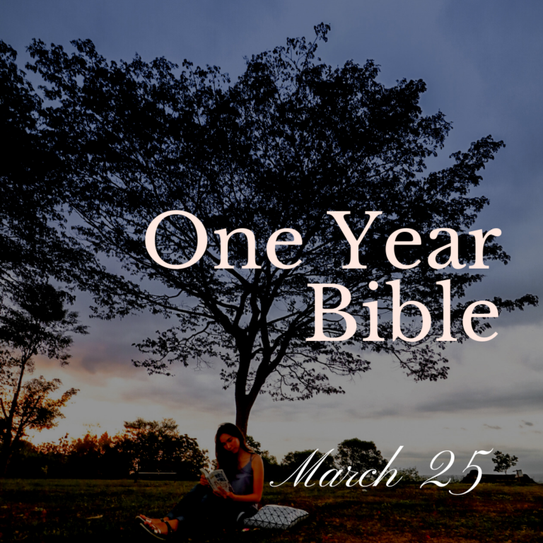 Person sitting under a large tree reading a Bible
