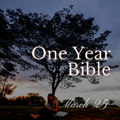 Person sitting under a large tree reading a Bible