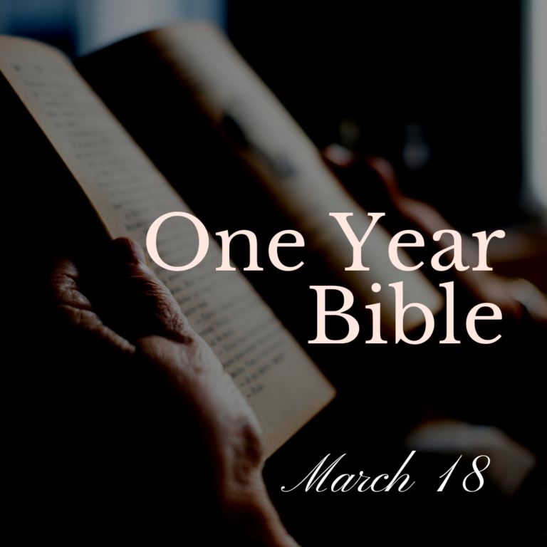 Someone holding an open Bible with both hands