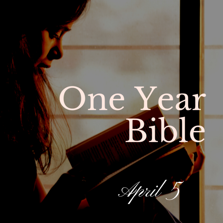 Woman sitting in front of a window reading a Bible