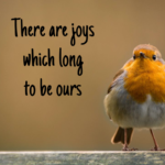 Bird sitting on a fence
