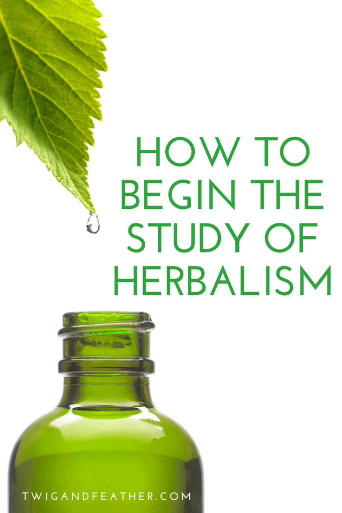 A drop of water dripping off a leaf into a green bottle below