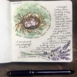 How to Make an Herbal Infusion